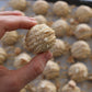 CARAMILK